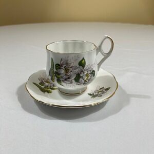 Royal Dover Tea Cup Saucer Set July Water Lily Bone China